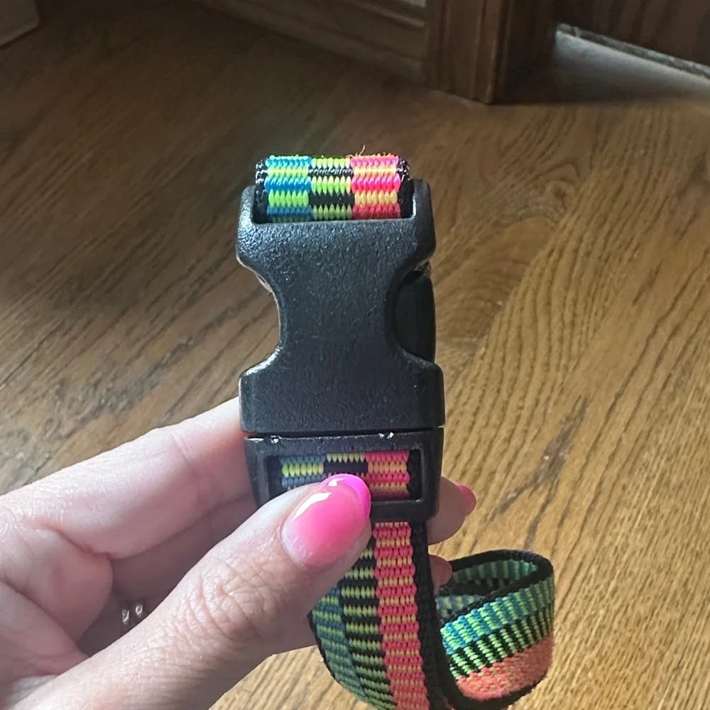 Colorful Neon Dog Collar! 15”-24”